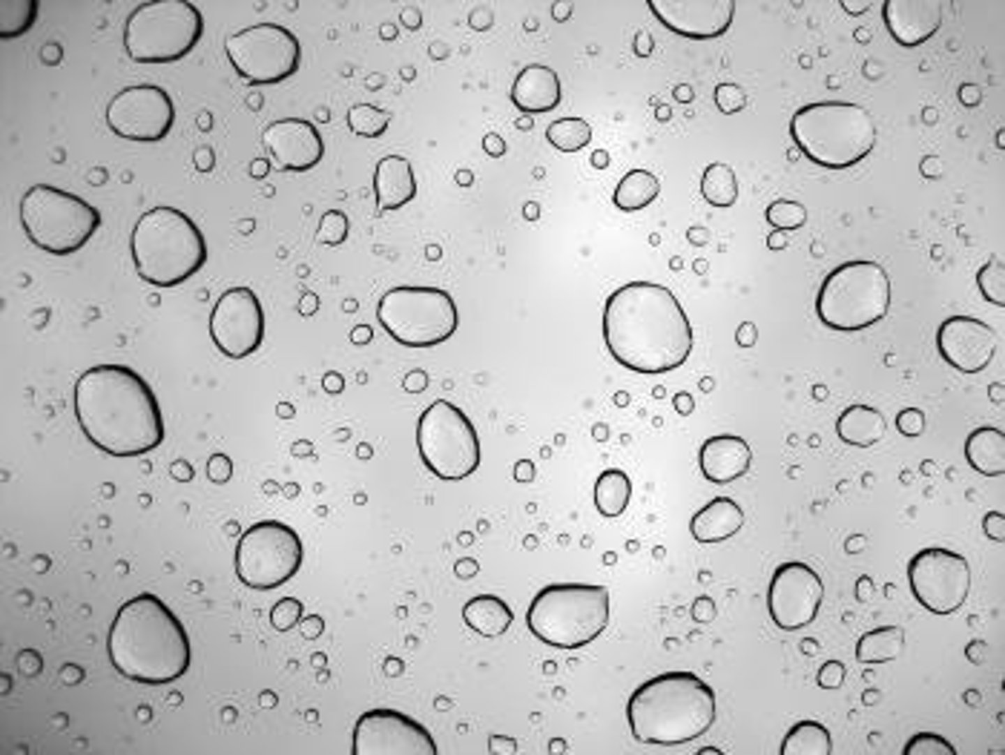 <p>the sticking together of particles of the same substance.</p>