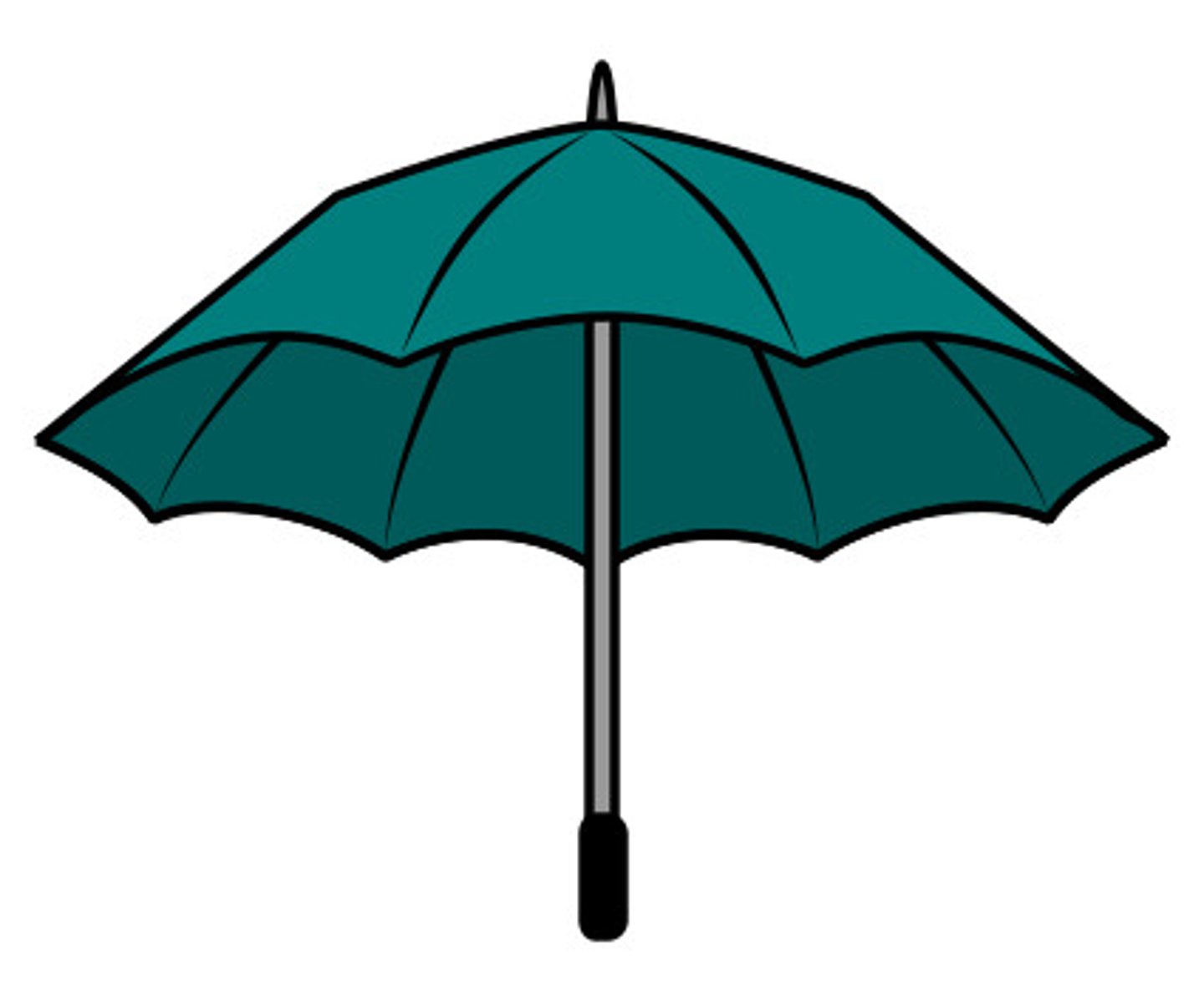 <p>Does he/she have an umbrella?</p>