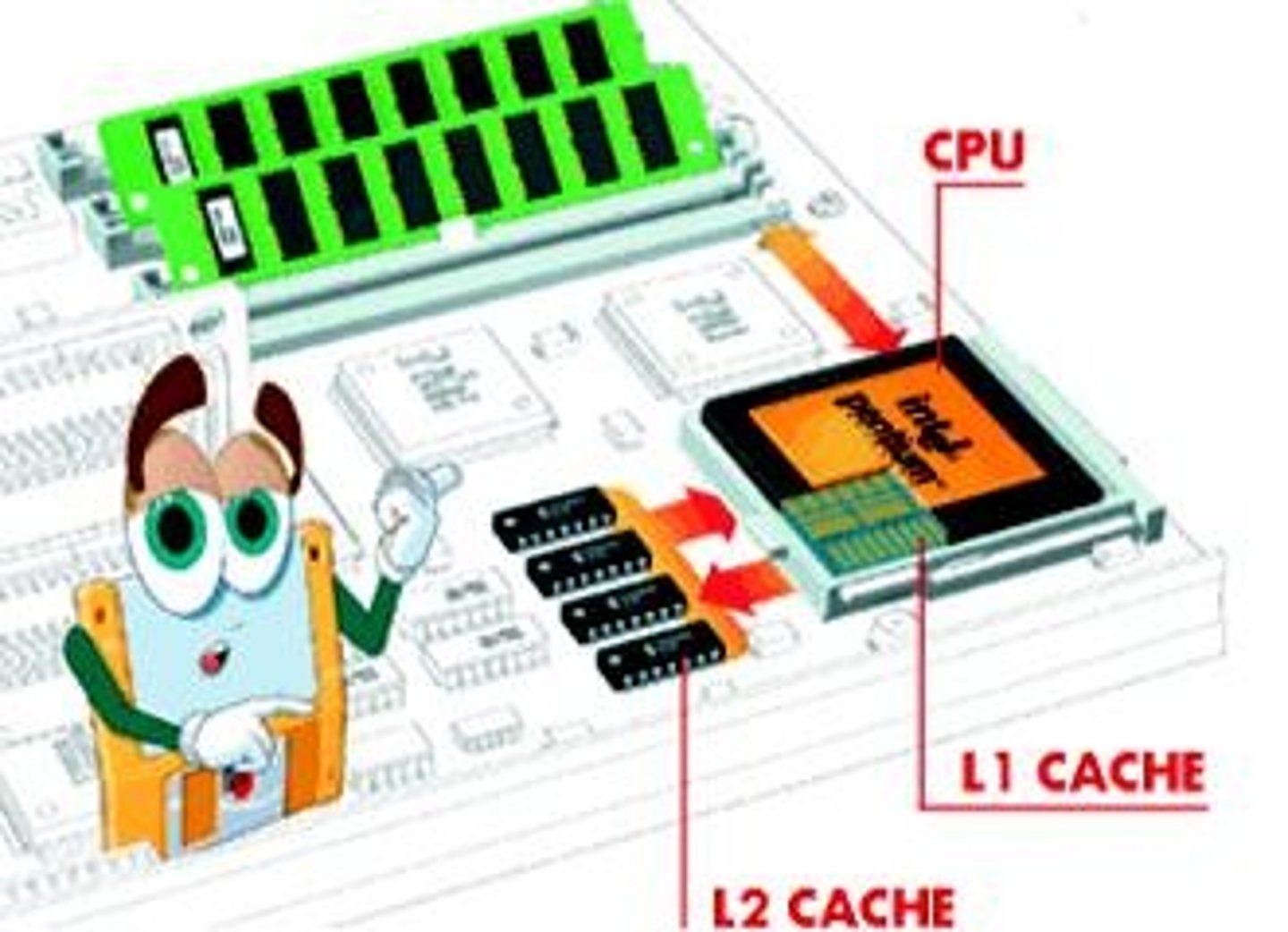 <p>A high-speed storage used as an intermediary between the control unit and main memory.</p>