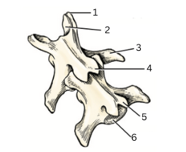 <p>3</p>