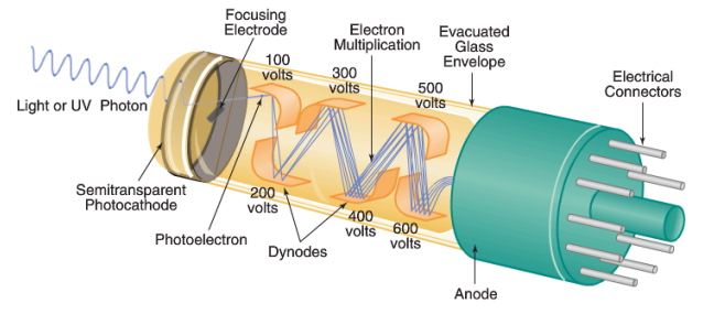 <p>How does a photomultiplier tube (PMT) work?</p>