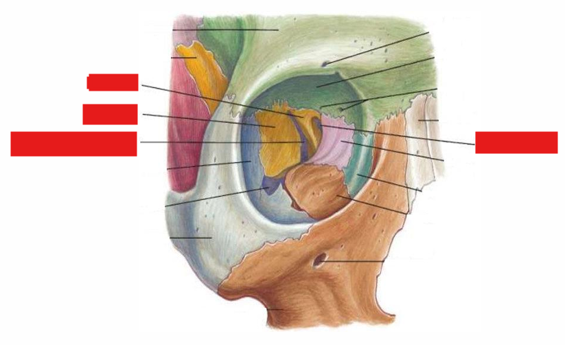<p></p>