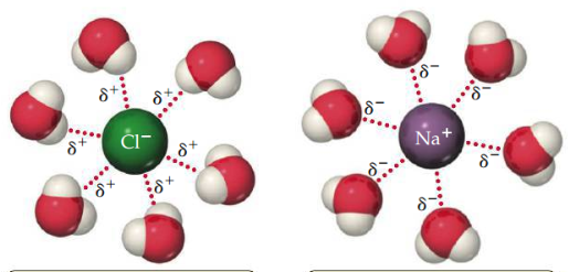 The attraction between an ion and a polar molecule. Cations are attracted to the negative end of a dipole, and anions are attracted to the positive end. The strength of the attraction increases as either the ionic charge or the magnitude of the dipole moment increases. 