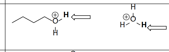 <p>Hydronium Cation and Protonated Alcohol</p>