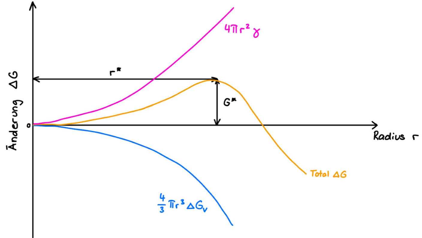 <p>Wichtige Punkte im Diagramm</p><ul><li><p><strong>Oberflächenenergie (<span>$$\Delta G_{sur} = 4 \pi r^2 \cdot \gamma$$ </span>):</strong> Steigt quadratisch an ($$r²$$). Bei sehr kleinen Radien dominiert dieser Term, weshalb kleine Cluster instabil sind und wieder zerfallen.</p></li><li><p><strong>Volumenenergie (<span>$$\Delta G_{vol} = \frac{4}{3} \pi r^3 \cdot \Delta g_v$$ </span>):</strong> Sinkt kubisch ab (<span>$$r^3$$</span>). Da die dritte Potenz bei größeren Radien stärker wächst als die zweite, zieht dieser Term die Gesamtkurve schließlich nach unten.</p></li><li><p><strong>Kritischer Radius (<span>$$r^*$$</span>):</strong> Dies ist das Maximum der Gesamtkurve. Keime, die kleiner als <span>$$r^*$$</span> sind, minimieren ihre Energie durch Auflösen. Keime, die größer als $$r³$$ sind, wachsen spontan weiter, da dies die freie Enthalpie verringert.</p></li><li><p><strong>Keimbildungsbarriere (<span>$$\Delta G^*$$</span>):</strong> Der Wert von <span>$$\Delta G$$</span> am Punkt <span>$$r^*$$</span>. Dies ist die energetische Hürde, die durch thermische Fluktuationen überwunden werden muss, damit eine dauerhafte Phase entstehen kann.</p></li></ul><p>Mathematische Herleitung:</p><p>Um den Scheitelpunkt zu finden, bildet man die Ableitung <span>$$\frac{d\Delta G}{dr} = 0$$</span>:</p><p>$$r^{*}=-\frac{2\gamma}{\Delta g_v}$$</p><p>$$\Delta G^* = \frac{16 \pi \gamma^3}{3 (\Delta g_v)^2}$$</p>