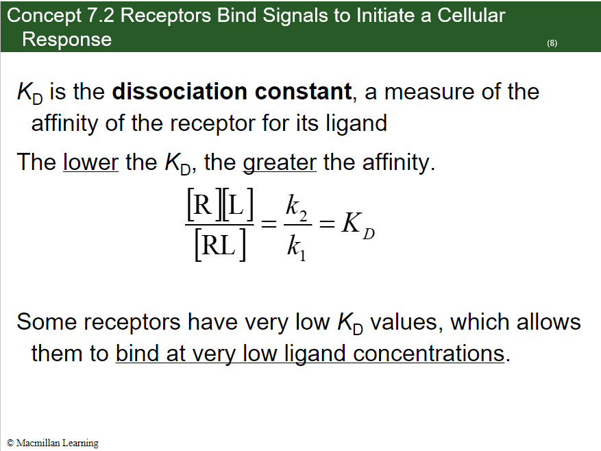 <p>If receptors have low Kɒ then they can bind at very low ligand concentrations.</p>