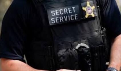 <p><strong><span>had not hired, would have been</span></strong></p>