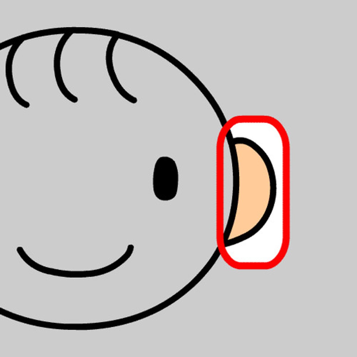 <p>ears, noun</p>