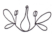 <p>Position of ovary?</p>