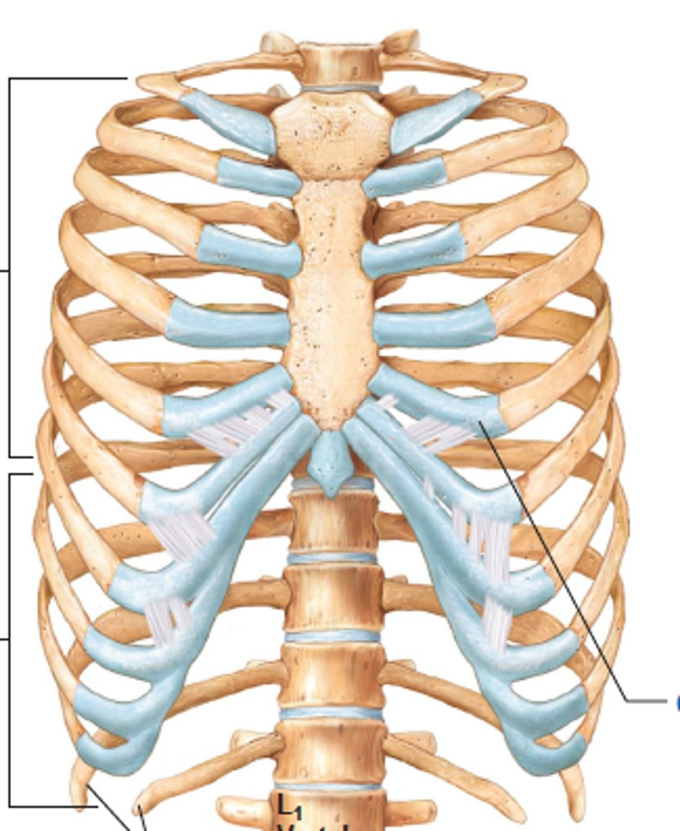 <p>second section</p>
