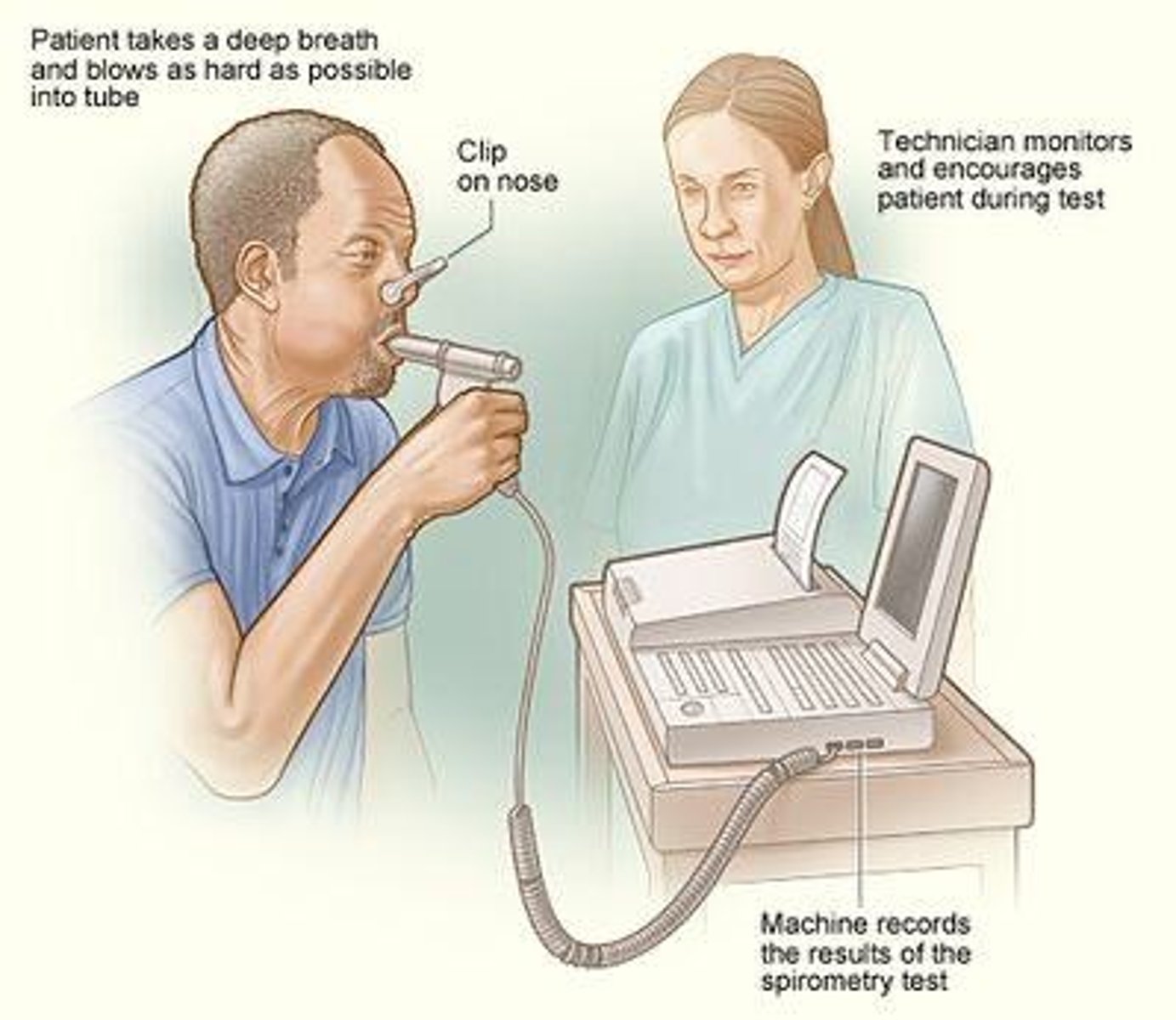 <p>Provides information about flow rates, compliance, and airway resistance.</p>