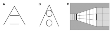 <p>No tenemos en cuenta el contexto. Tenemos en cuenta la info geometrica que nos da la imagen&nbsp;</p>
