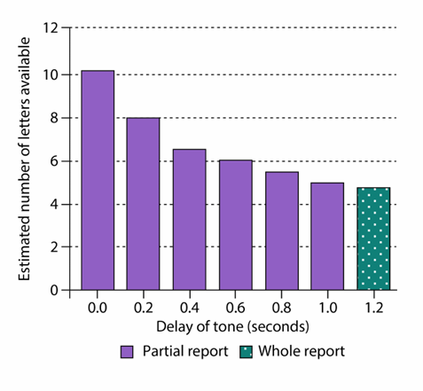 <ul><li><p>Duration is short, capacity can be high BUT duration and capacity interact to influence sensory memory</p></li><li><p>longer delays = decreased capacity</p></li></ul><p></p><p>the graph: how long it takes the cue to show up. Longer time distance between when the image was shown and then asked which column to remember </p><p></p>