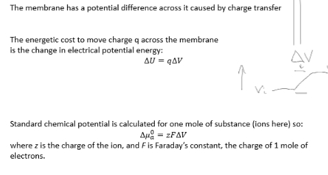 <p><span style="background-color: rgba(0, 0, 0, 0); line-height: 0px;"><strong><span>causes a change in Gibbs free energy</span></strong></span></p><p><span style="background-color: rgba(0, 0, 0, 0); line-height: 0px;"><strong><span>change in internal energy = charge x change in potential diff </span></strong></span></p>