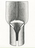 knowt flashcard image