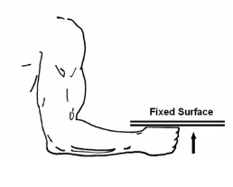 <p>This isometric elbow exercise is called what?</p>