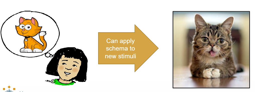 <p>Existing schema is used in new situation. </p><ul><li><p>assimilate new information into your old schema. </p><ul><li><p>ex. orange thing with a tail and 4 paws is a cat. </p></li></ul></li><li><p>assimilation in babies: applying motor schema in new situation. </p></li></ul><p></p>