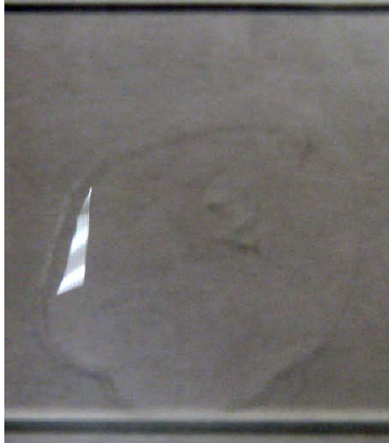 What are the results of this catalase test?