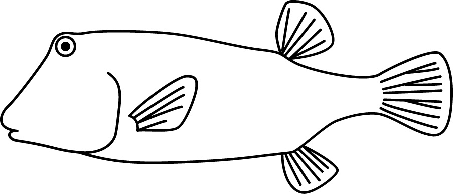 <p>Rectangular body<br>Size: 15 cm</p>