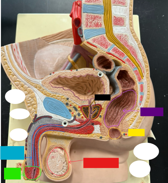 <p>What is the name of the black box? X2</p>
