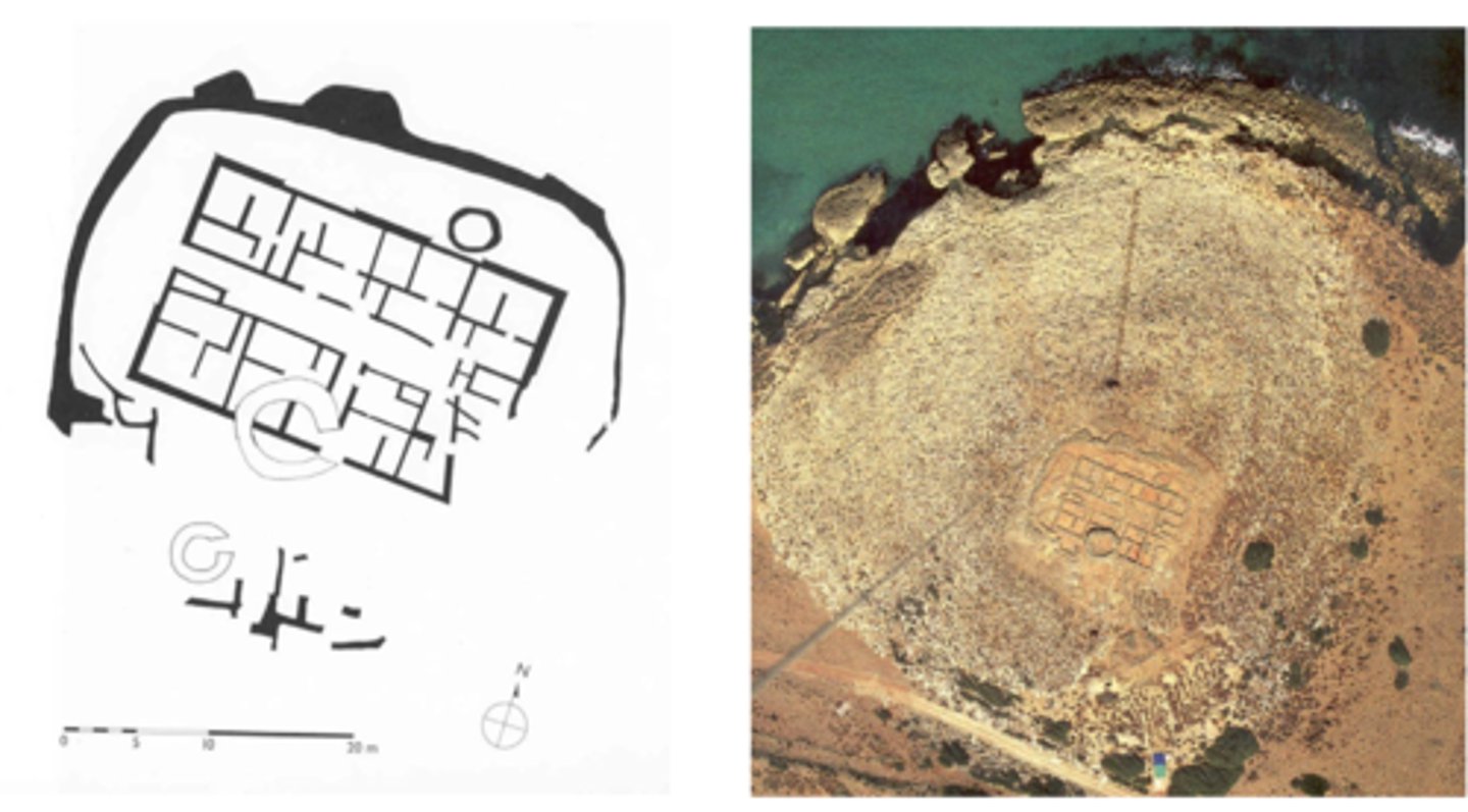 knowt flashcard image