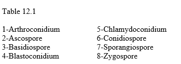 <p><span>In Table 12.1, which is a thick-walled spore formed as a segment within a hypha?</span></p>