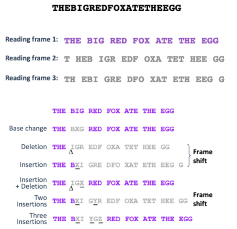 <ul><li><p>IN HOW MANY WAYS CAN WE READ THIS?</p></li></ul><p></p>