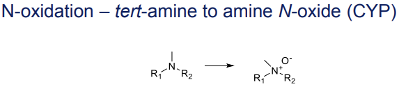 <p>Conversion to amine N-oxides, catalyzed by CYP </p>