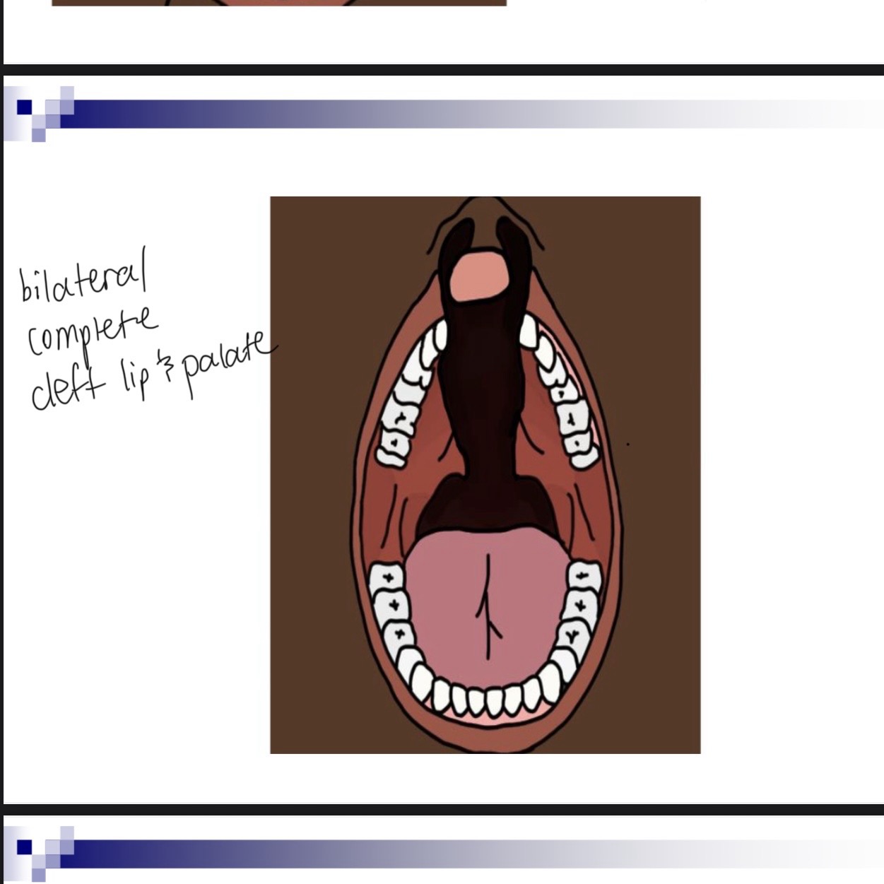 knowt flashcard image