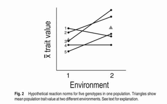<p>The spectrum of phenotypic variation produced when individuals of the same genotype are exposed to varying environmental conditions</p>