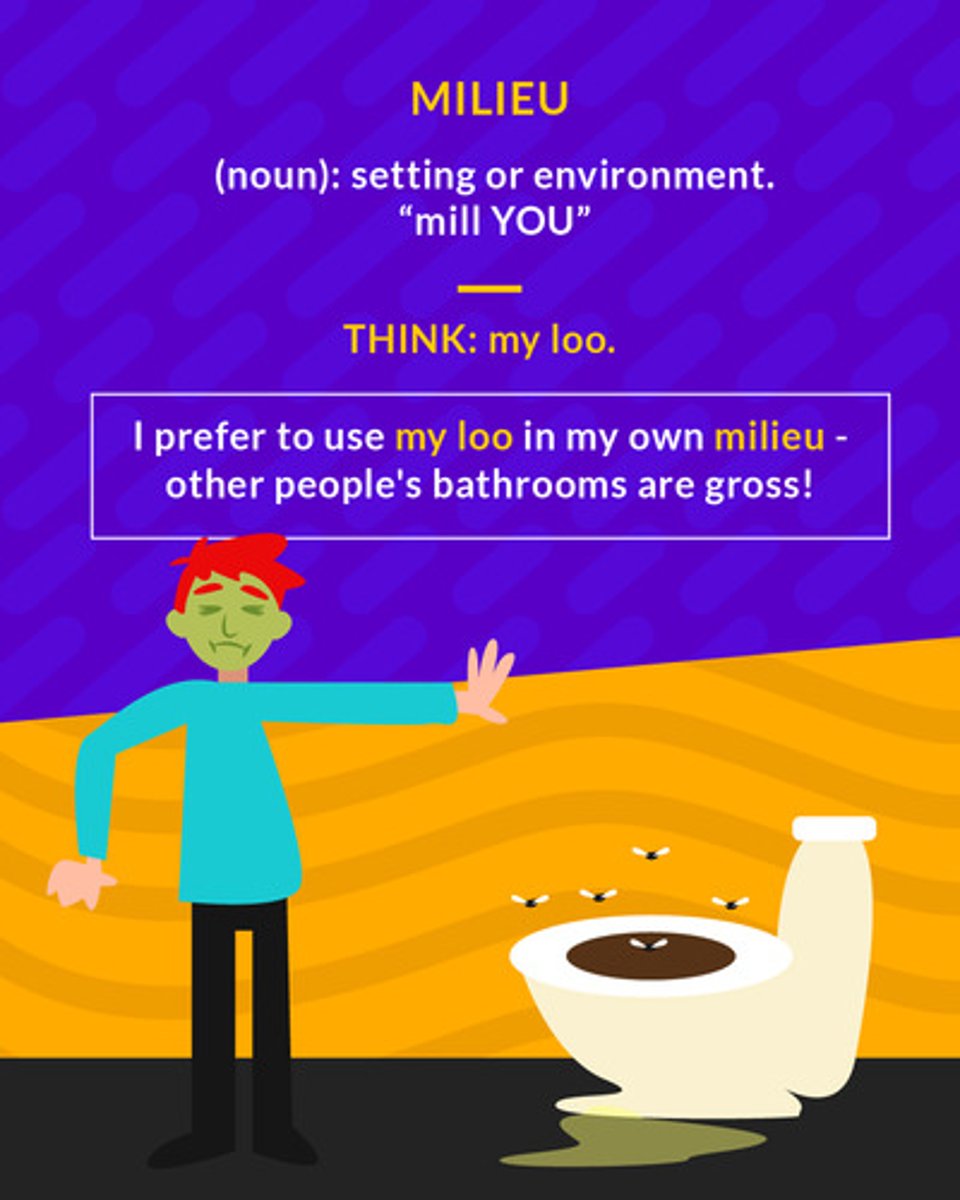 <p>(n.) the setting, surroundings, environment</p>