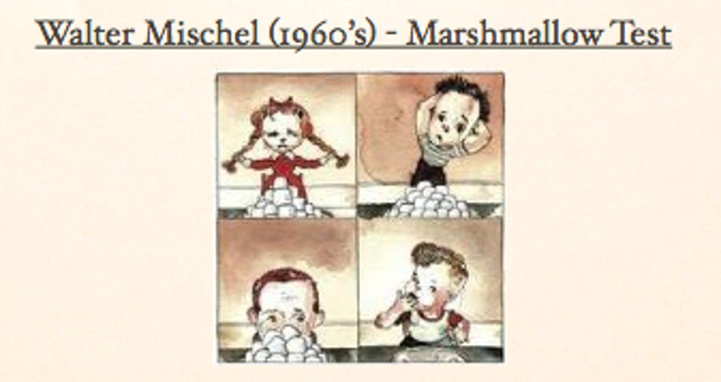 <p>declining a pleasant activity now in order to get greater pleasure later</p>