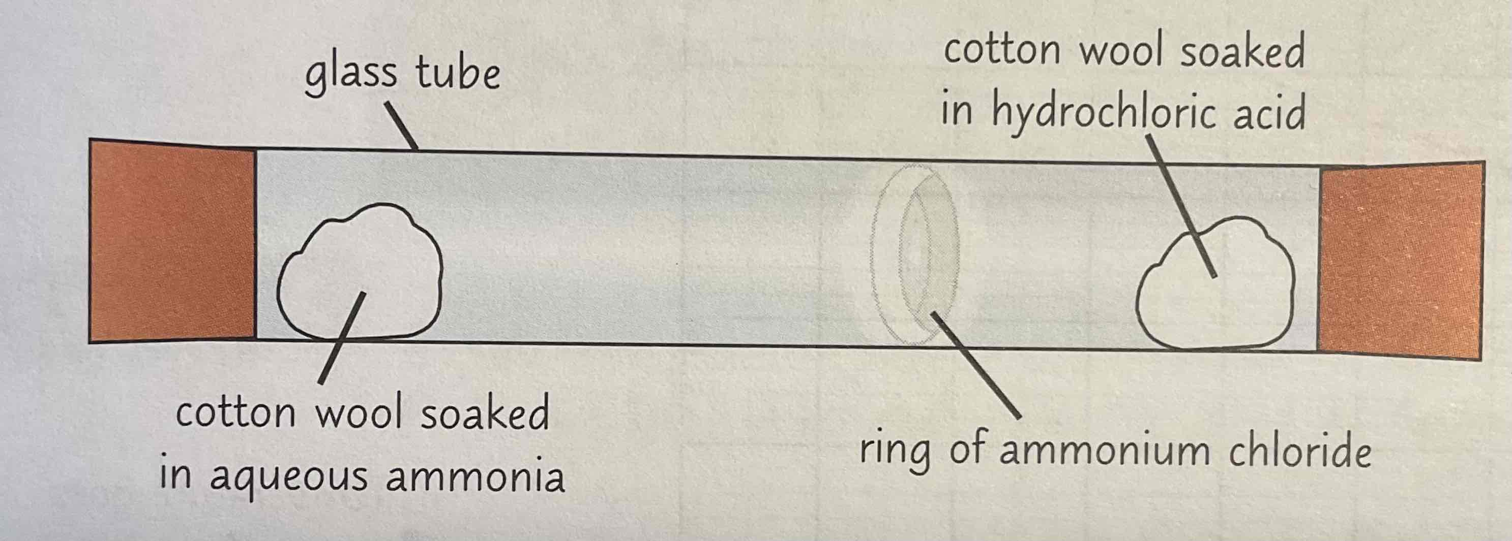 <p>Aqueous ammonia (NH3) gives off ammonia gas. (HCl) gives off hydrogen chloride gas.</p><p>Each gas diffuses from a different end of the tube, when they meet white ring of ammonium chloride forms</p><p>Ring dosent form in middle - forms closer to end where hydrochloric acid was</p><p>This shows that ammonia diffuses faster as it travels further in the same amount of time</p><p>Ammonia gas diffuses faster → particles of ammonia are smaller + lighter than the particles of hydrogen, so they infuse through the air more quickly</p>