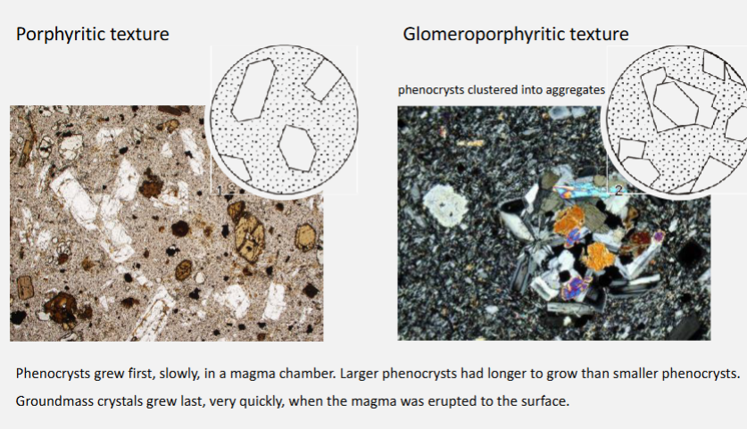 <p><strong>Glomeroporphyritic texture</strong> = a <strong>cluster of large crystals (phenocrysts) grouped together</strong> in an igneous rock rather than being evenly distributed. </p>