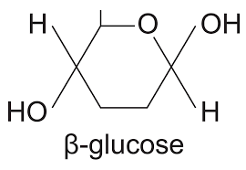 <p>H on bottom. Hydroxyl above the ring.</p>