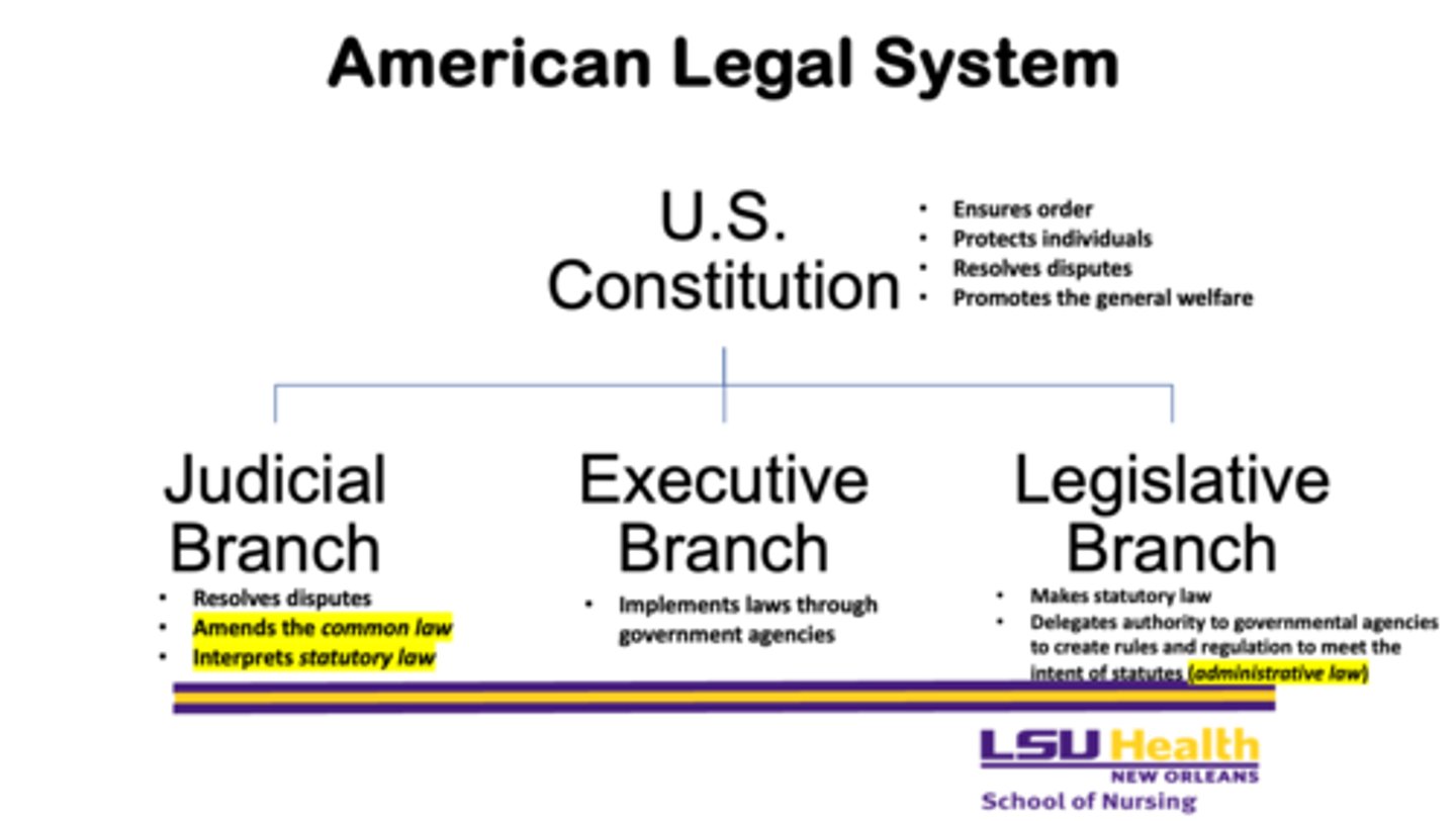<p>Judicial Branch</p>