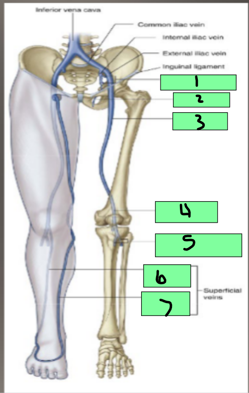 <p>1</p>