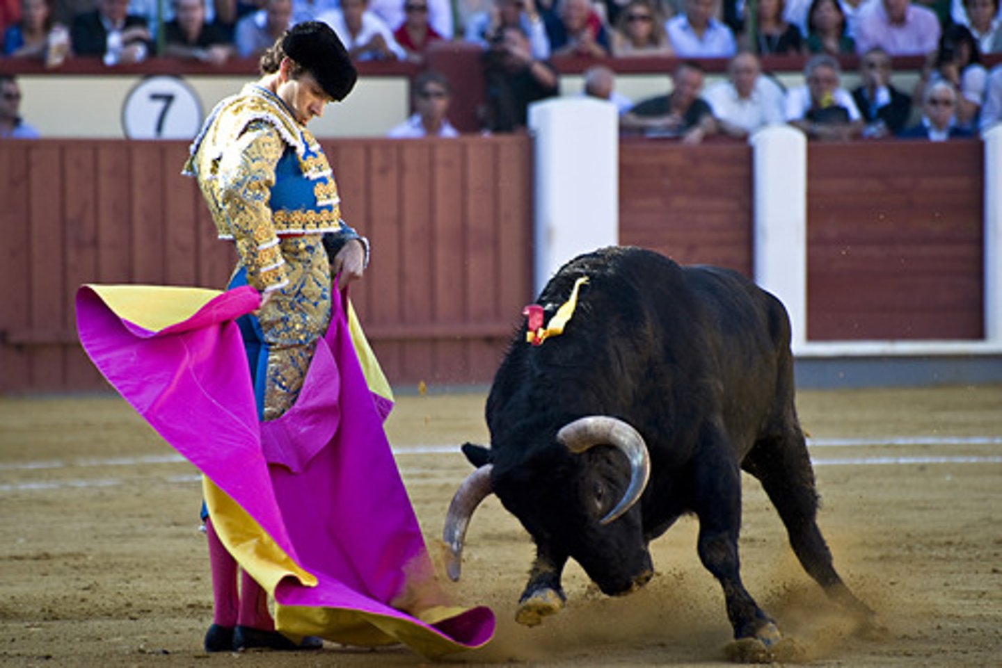 <p>la capa usado en las dos primeras etapas</p><p>- rosado y amarillo</p>