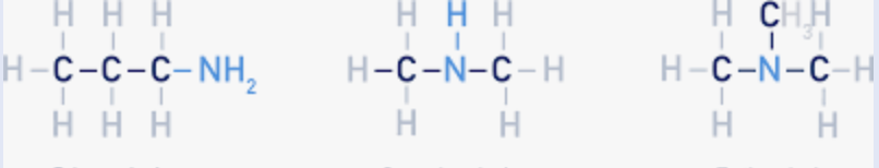 <p>nitrogen with 3 bonds to either sp3 carbon or H</p>