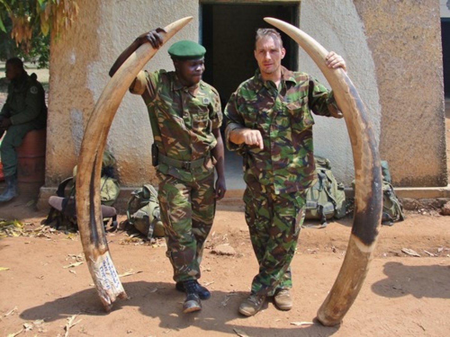 <p>illegally catching or shooting animals, birds, or fish, especially on private land without permission</p>