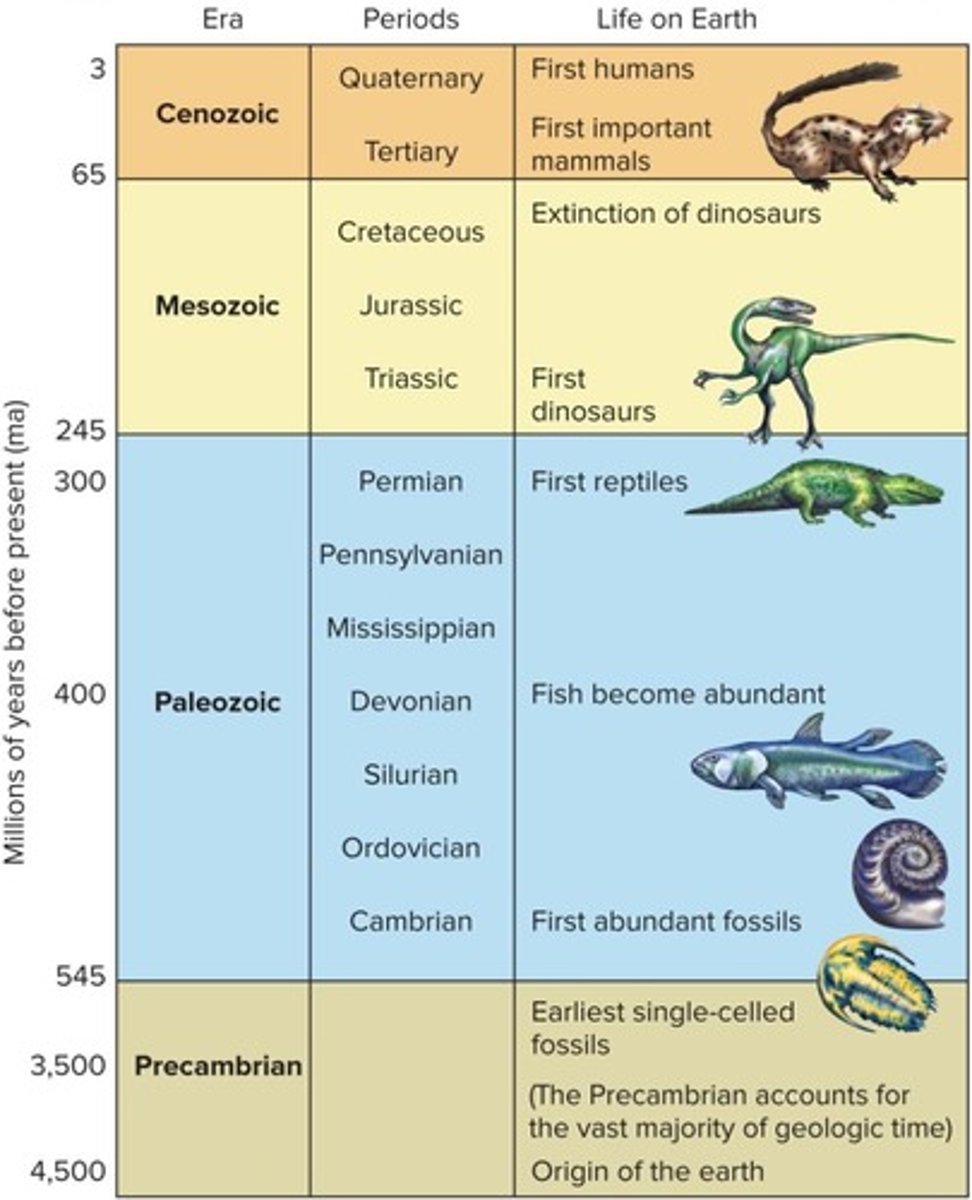 <p>4.6 billion - 545 million years ago.</p>