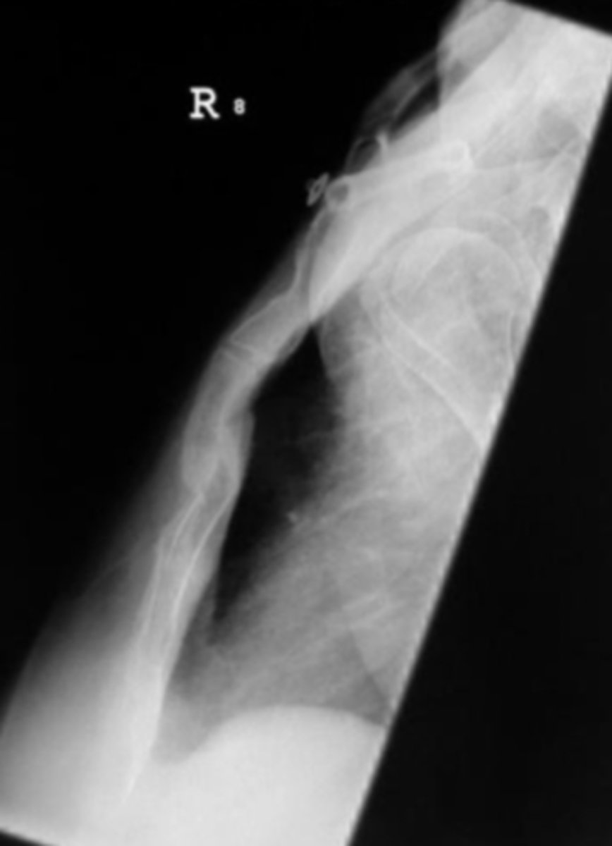 <p>What is the issue?</p>