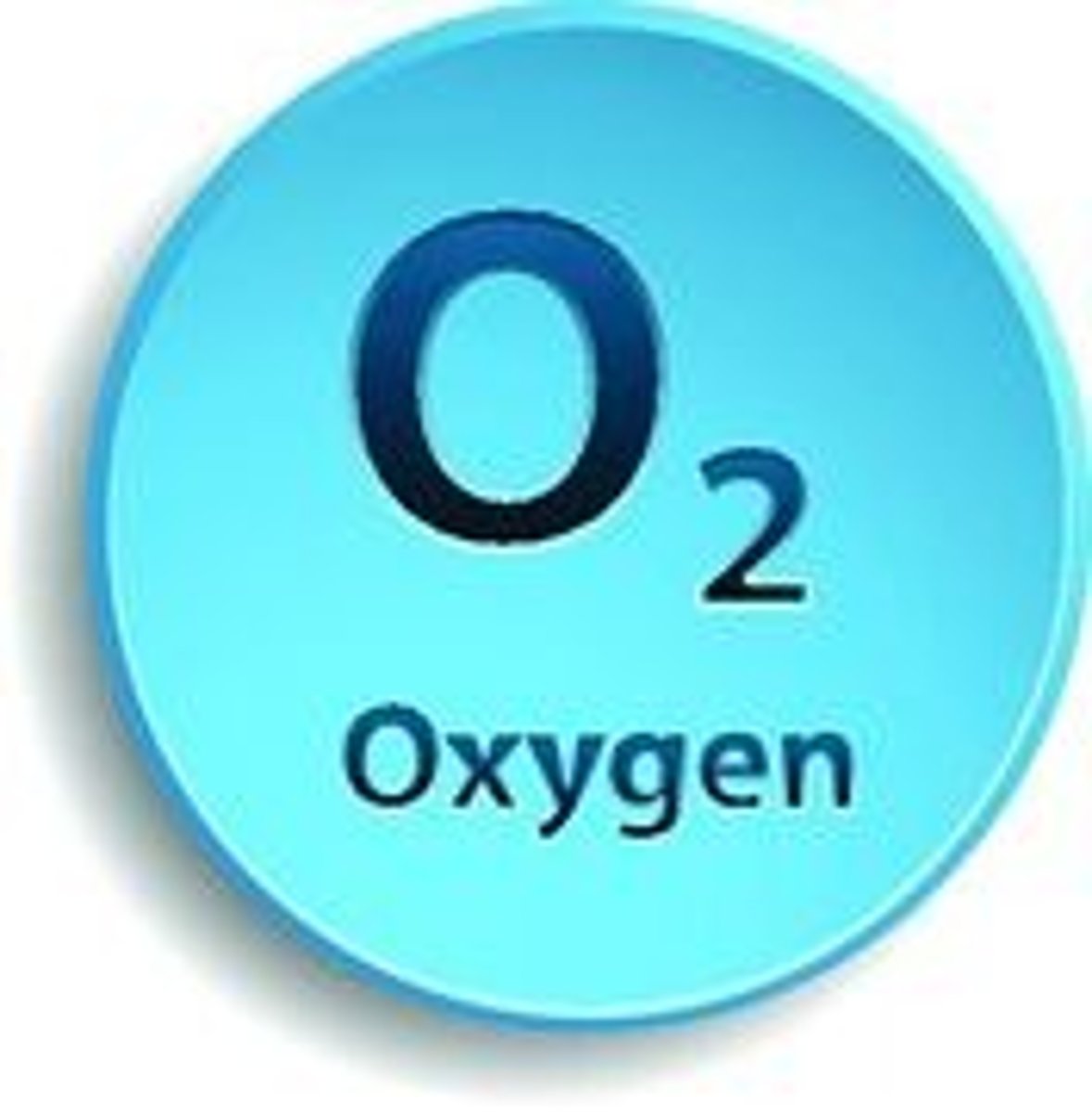 <p>Describes a process that requires oxygen</p>