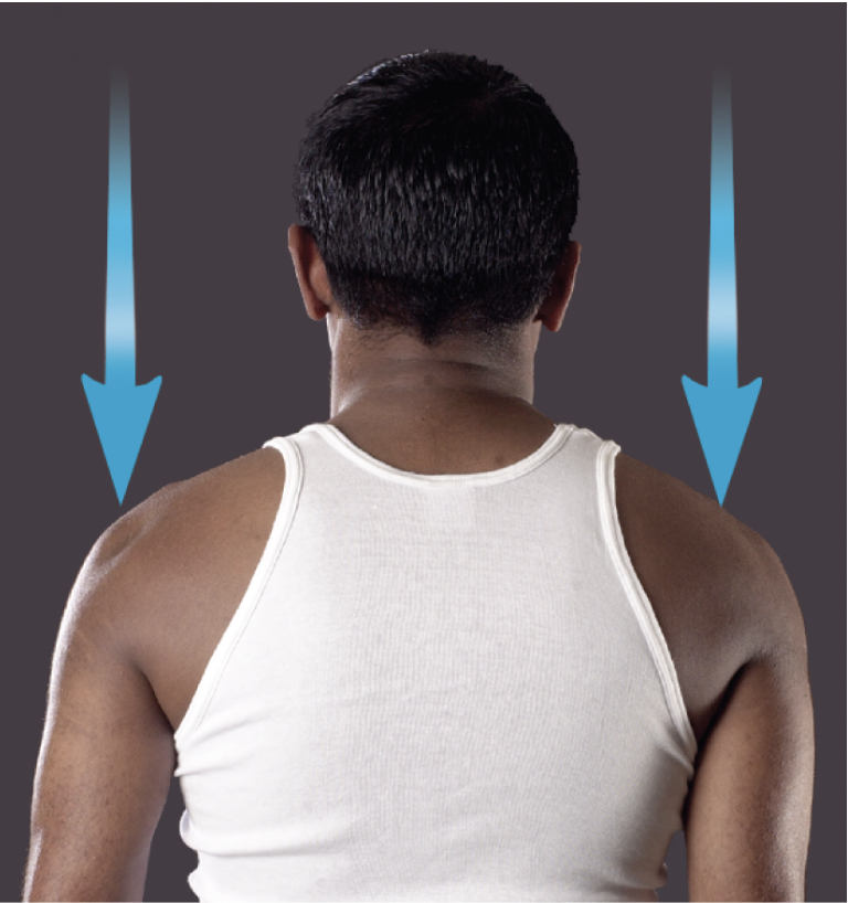 <p>a movement that lowers a body part vertically in the frontal plane</p>