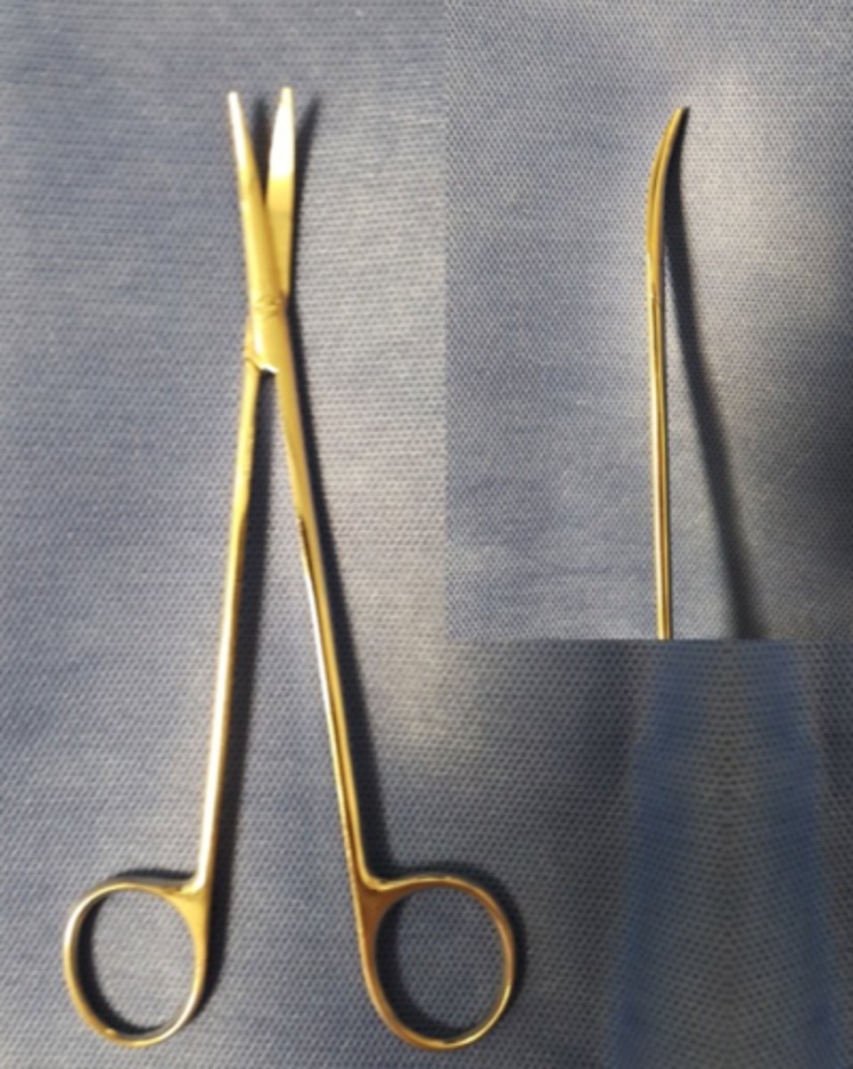 <p>Fine tissue dissection</p>