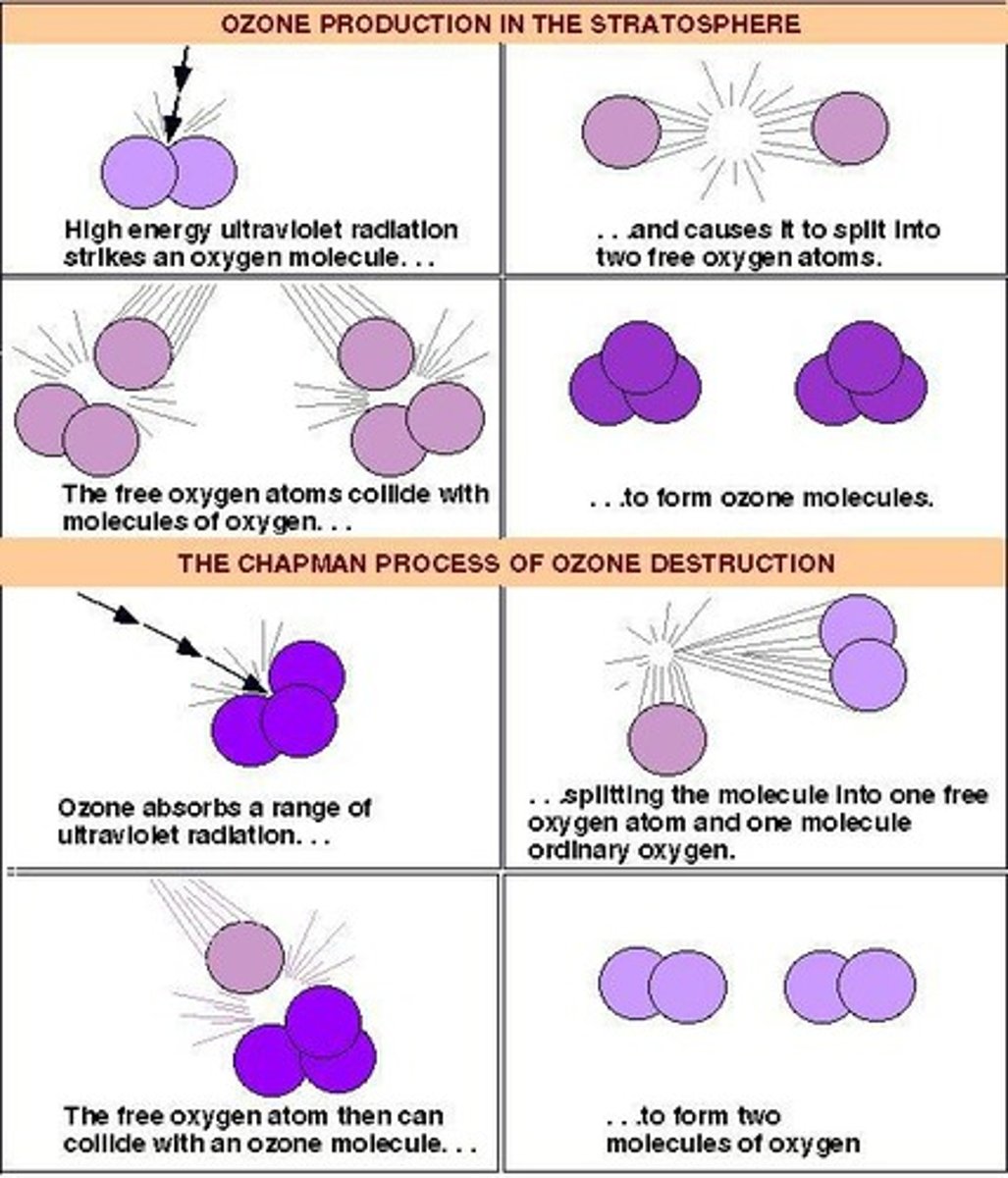 <p>Reduction of stratospheric ozone due to human activities.</p>