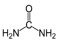 <p>Nitrogen Excretion</p>