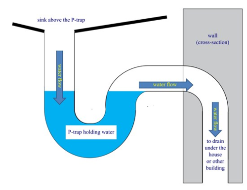 P-Trap - Fixture branch