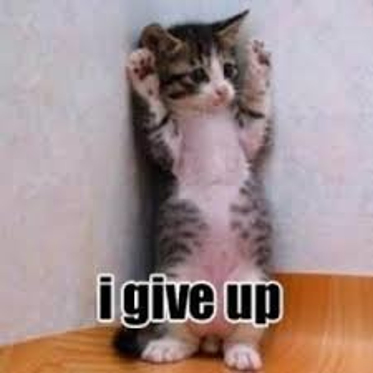 <p>(v.) /kənˈsiːd/ to admit, often unwillingly as true - thừa nhận điều gì đó </p><p>E.g He kept on arguing and wouldn't ............. defeat.</p>