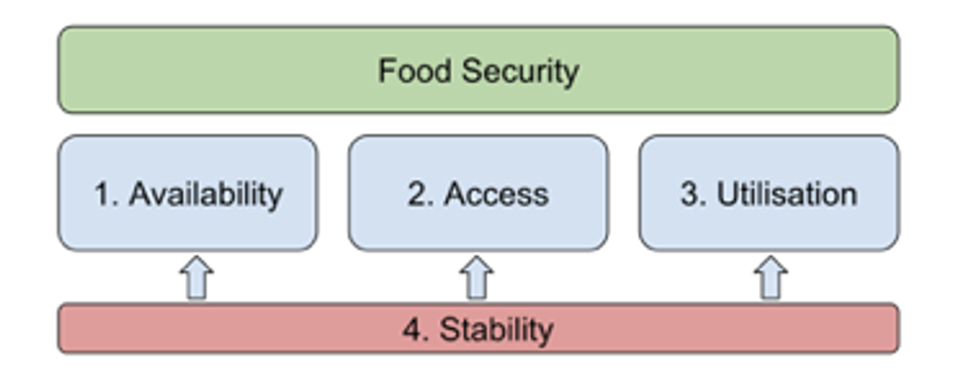 <ol><li><p>Food availability</p><ul><li><p>enough nutritous food of sufficent quality needs to be available to people for consumptin</p></li></ul></li><li><p>Food access</p><ul><li><p>individuals and households must be able to acquire sufficient food to be able to eat</p></li><li><p>healthy, nutritous diet or have access to sufficient resources needed to grow their own food</p></li></ul></li><li><p>Food utilisation</p><ul><li><p>people must have access to sufficient quantity and diversity of food to meet nutritional needs</p></li><li><p>but must also be able to eat and properly metabolise such food</p></li></ul></li><li><p>Stability</p><ul><li><p>food may be available and accessible and in order for people not to feel insecure</p></li><li><p>state of affairs needs to be enduring rather than temporary or subject to fluctuations</p></li></ul></li></ol><p></p>